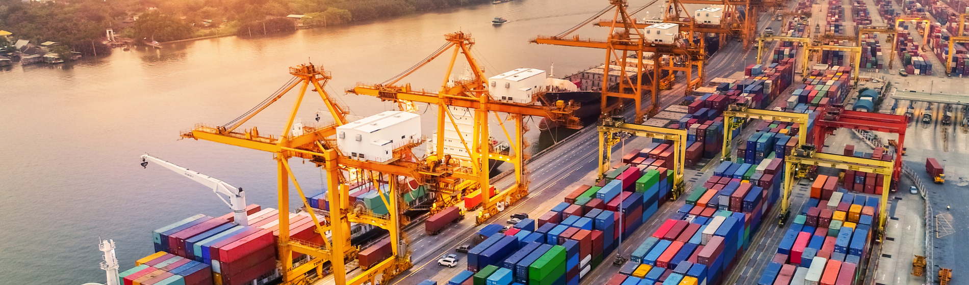 A prosperous dockyard
