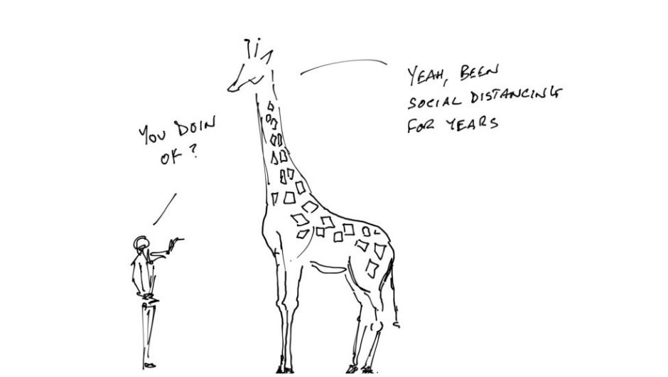 A cartoon of a man talking to a giraffe in the pandemic. The giraffe says he's been social distancing for years.